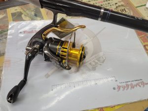 磯ﾛｯﾄﾞ・ﾘｰﾙ入荷デス！！