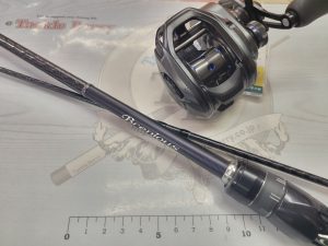 ﾁﾆﾝｸﾞﾍﾞｲﾄﾛｯﾄﾞｾｯﾄ入荷デス！！