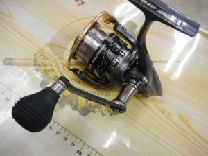 訂正 本日の入荷情報。申し訳ございません！