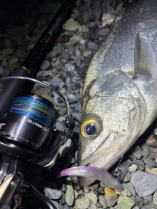 砂ヒラ降臨！！