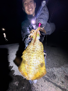 春イカ開幕！！