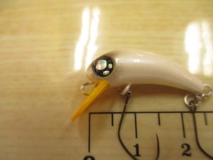 が～こちゃん登場！