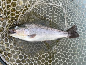 瑞浪に行ってきました!!