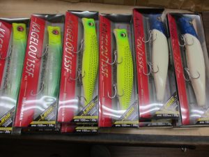 カゲロウ155F入荷！