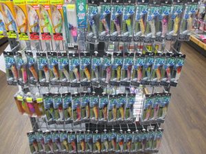 ｴｷﾞ政改入荷！