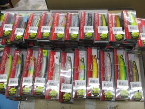 ｶｹﾞﾛｳ入荷！！