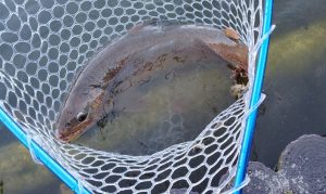 ☆王禅寺で初釣り☆