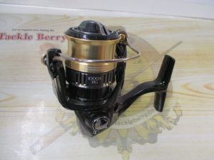 18カーディフCI4+です☆
