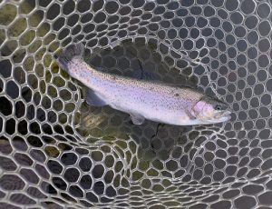 ☆初釣りに王禅寺へ☆