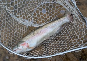☆天空の湖、野反湖へ☆