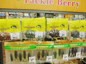 【きぬた世田谷通り店】バサクラ2025ウィニングルアーの具あります！