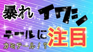 【土佐高知店】