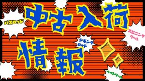 【土佐高知店】入荷情報