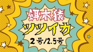 【土佐高知店】イカ食べたい