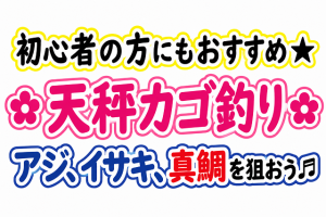 【土佐高知店】天秤カゴ釣り