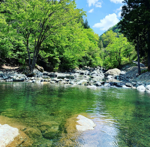 野村　俊介 Berry Verry Fishing