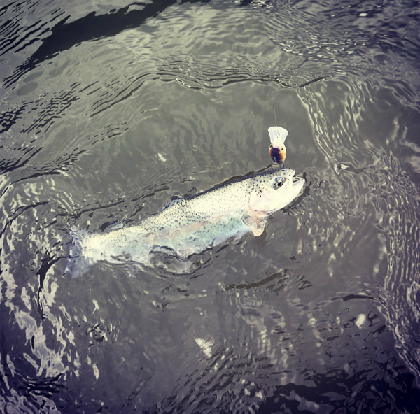 野村 俊介 Berry Very Fishing