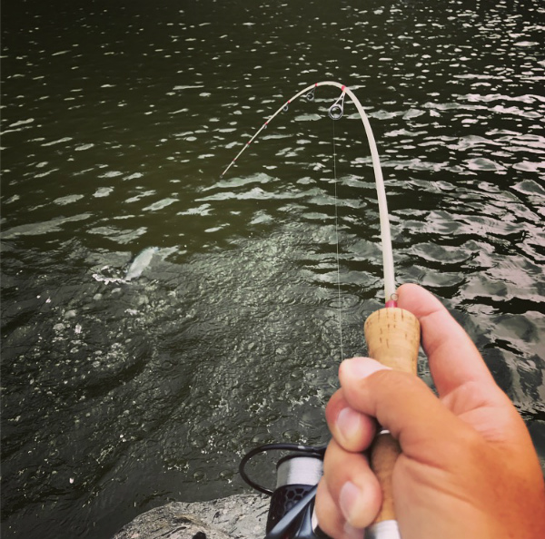 野村 俊介 Berry Very Fishing