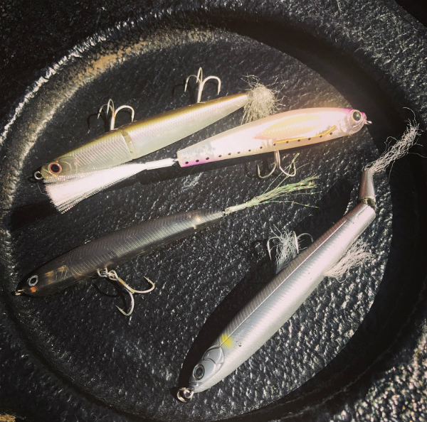 野村 俊介 Berry Very Fishing