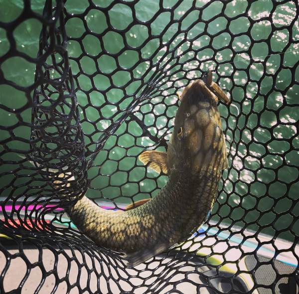 野村 俊介 Berry Very Fishing