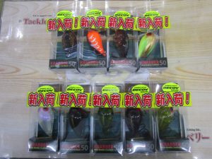 【アグア】クラバー50入荷！