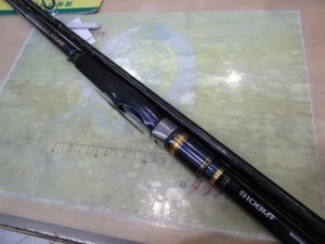 【中古】ネッサエクスチューン入荷！