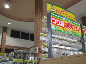 本日より再オープン！！