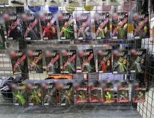 【エバーグリーン】Dゾーン入荷！