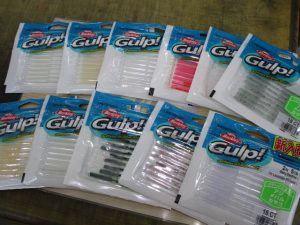 【バークレー】ベビーサーディン入荷！