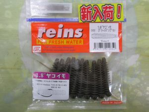 レインワーム大量入荷！