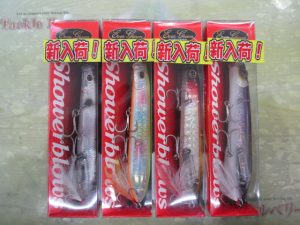 【エバーグリーン】シャワーブローズ入荷！