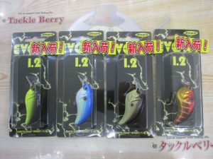【デプス】イヴォーク入荷！