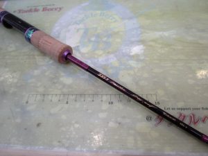 【中古】999.9入荷！
