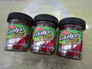 【バークレイ】アングルワーム入荷！