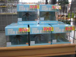 【ハイドアップ】コイケフィッシュギル入荷！