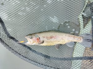 足柄CAへ行ってきました！！⭐