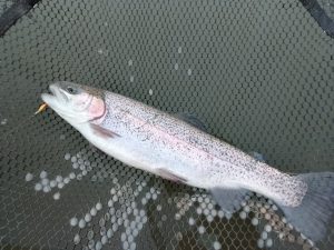 弁天閣＆外房アジング✌