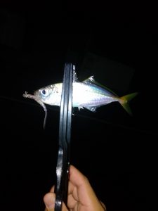 非日常をお届けします！五島列島編