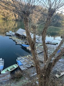 真冬相模湖ビッグベイト縛り!!