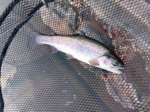 年明けBP王禅寺へ行ってきました！👍