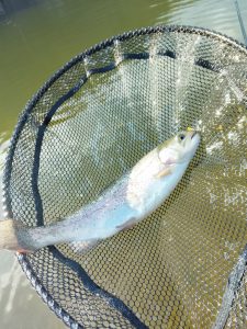 ☆２週連続BP王禅寺へ☆