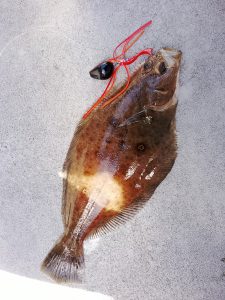 東京湾タイラバ＆外房ジギング😎