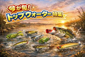 ★☆お買い得品大集合Ver.2☆★