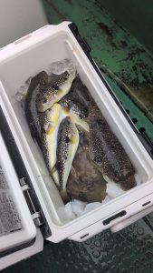 フグ釣りの名船『一郎丸』🐡