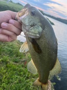 ☆バス釣りの初夏の基本☆