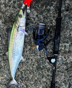 三度の飯より釣り