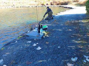 ベリーカップを見に行って来ました！