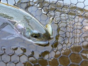 久しぶりに「神の領域」へ