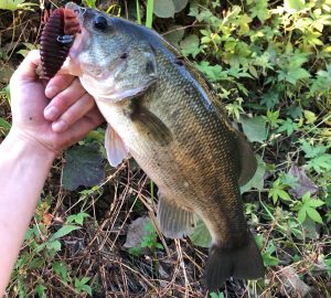 今年最後（？）のバス釣りに行ってきました。