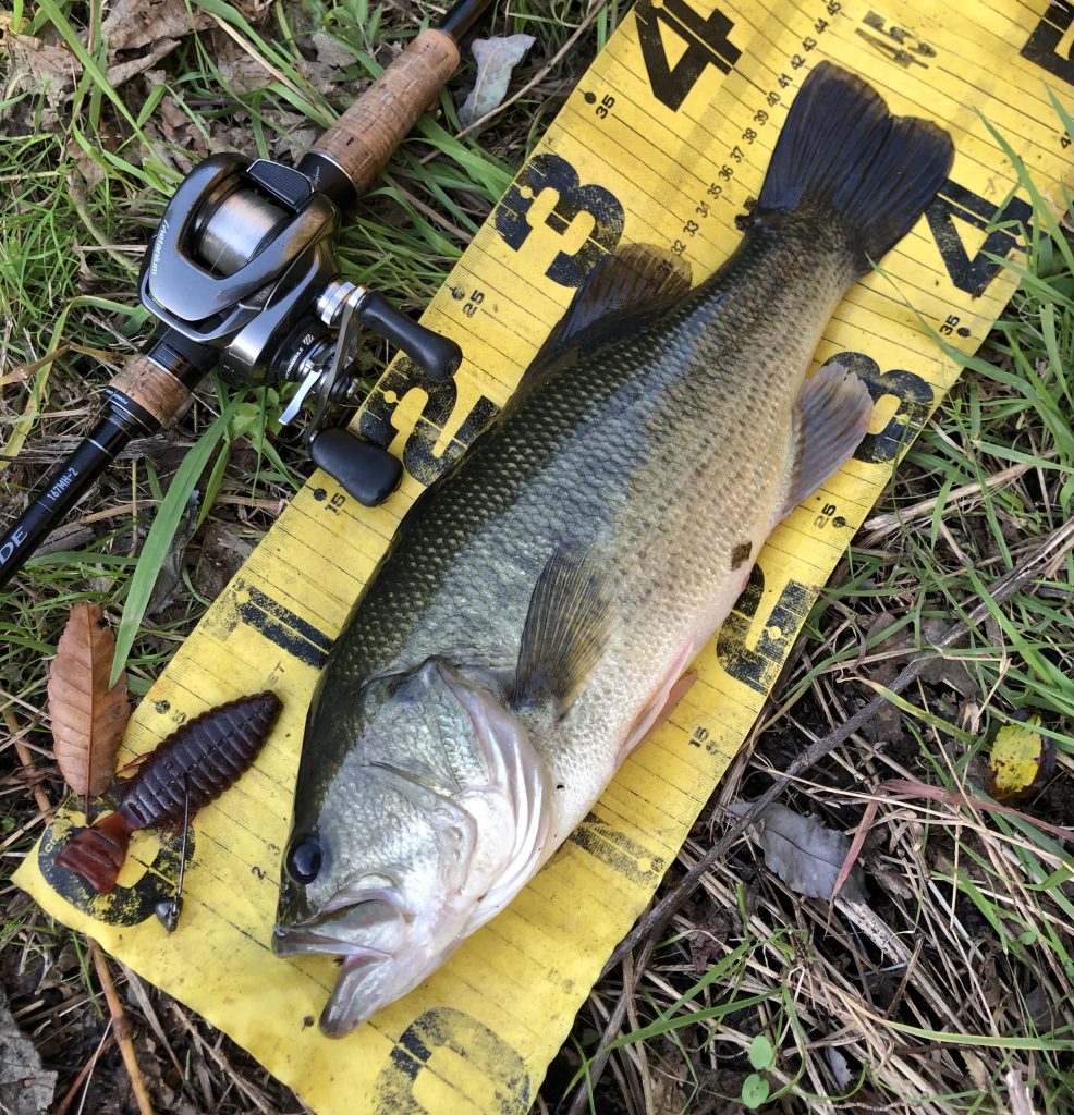今年最後（？）のバス釣りに行ってきました。 – さいたま東松山店